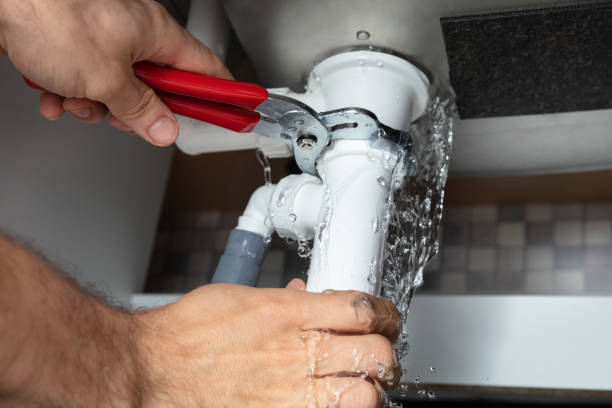 Best Water damage repair service  in Grass Lake, MI