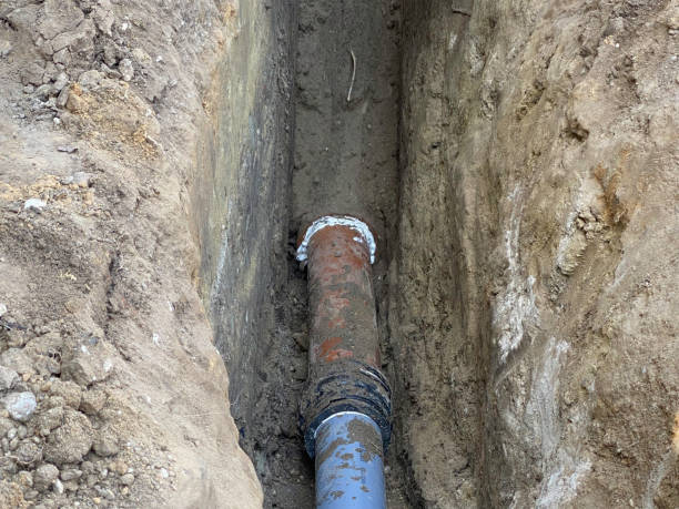 Best Sewage cleanup and water damage restoration  in Grass Lake, MI