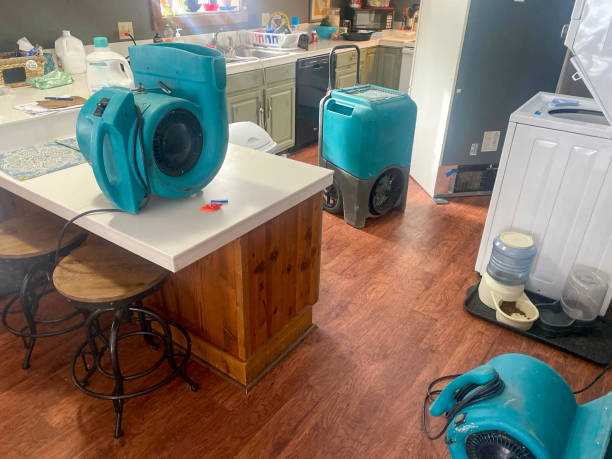 Best Water damage contractors near me  in Grass Lake, MI