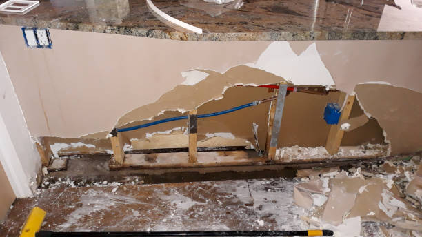 Best Water damage restoration experts  in Grass Lake, MI