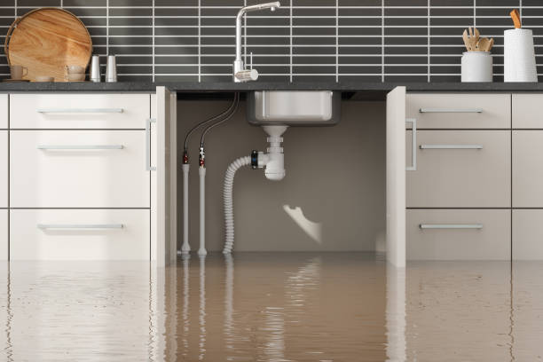Best Water damage mitigation services  in Grass Lake, MI