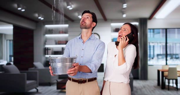 Best Sewage cleanup and water damage restoration  in Grass Lake, MI