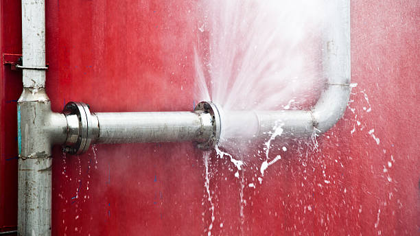 Best Water damage restoration insurance claims  in Grass Lake, MI